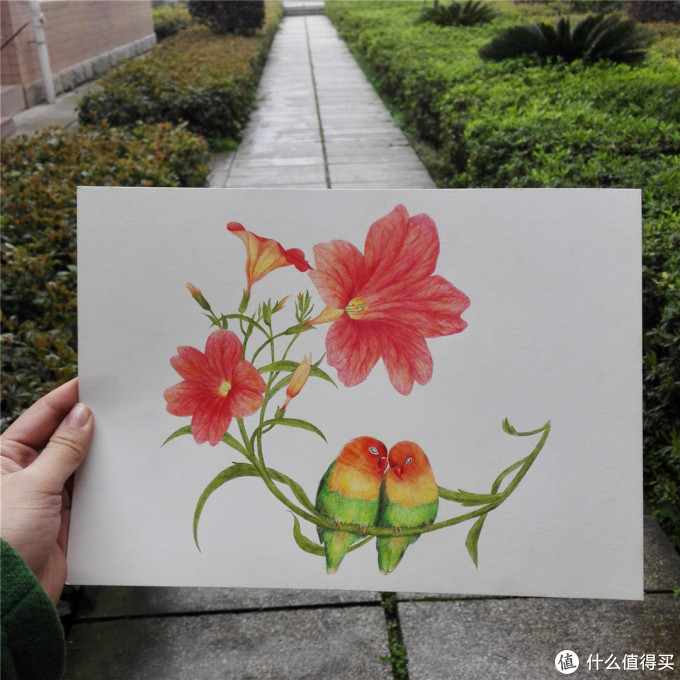 用"棉麻混合300g卡纸"画的杜鹃