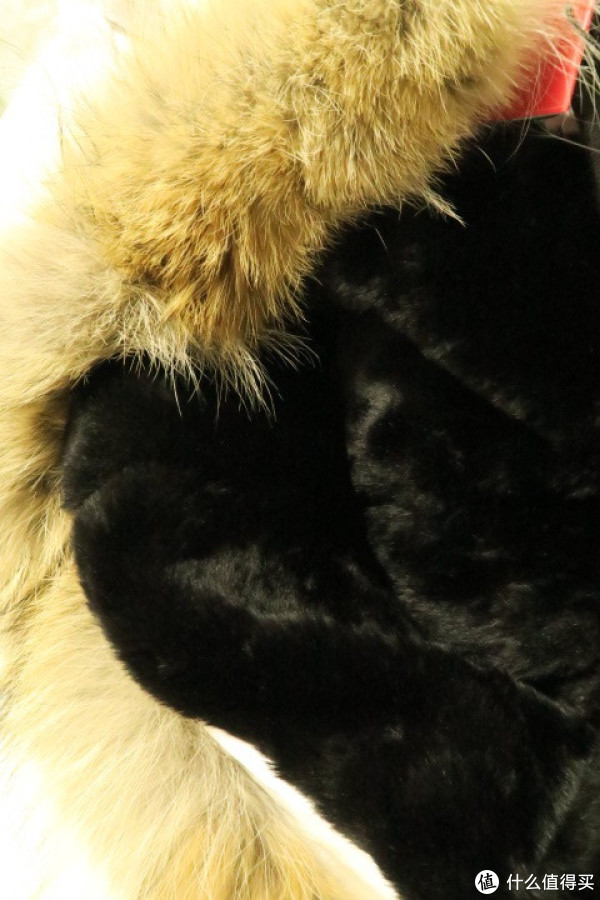 帽子是可以拆卸的,里面是非常浓密的黑毛,很暖和,周围一圈黄色的是狼