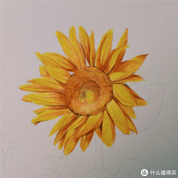 来画画吧!彩铅自学教程 篇二:实例示范篇