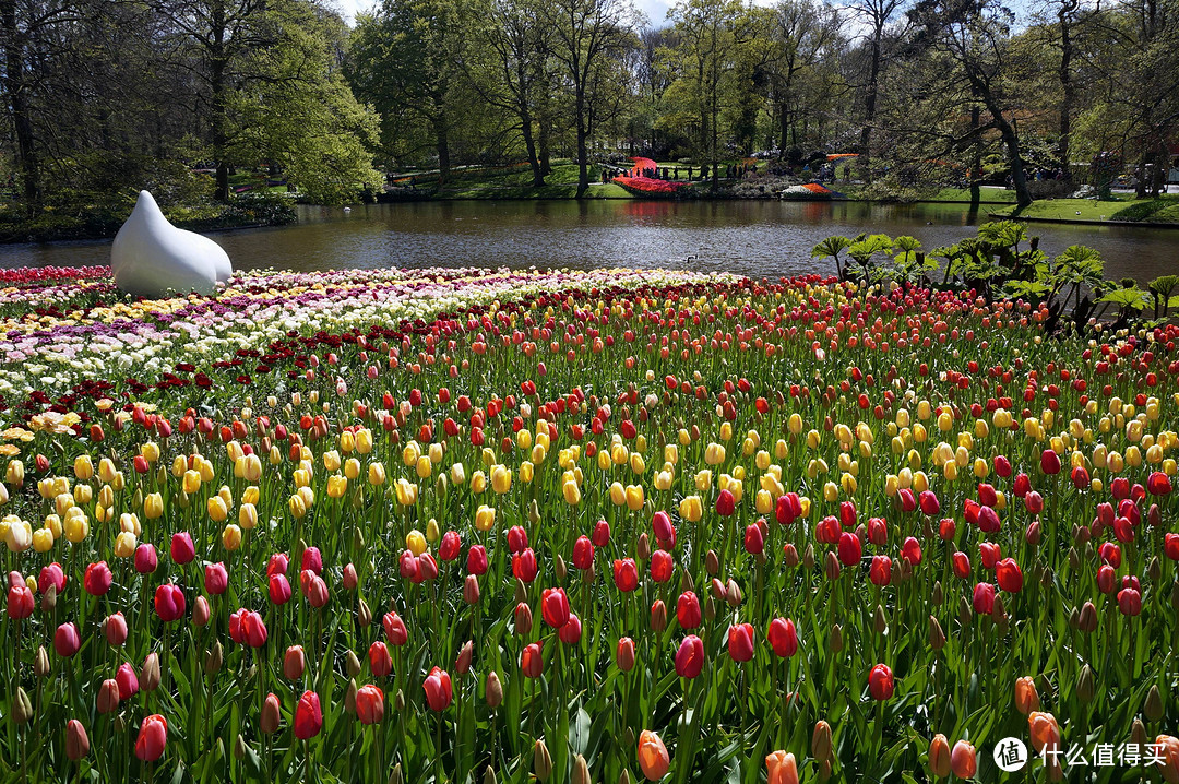 春暖花开，阿姆斯特丹的短暂停留