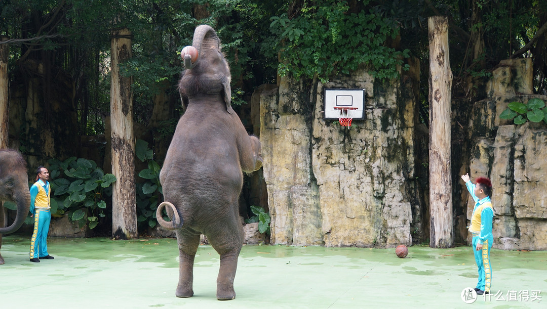 我的成功可以复制 — 8天7晚扶老携幼广州珠海长隆、澳门游