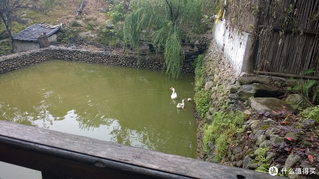 自驾千岛湖两日游