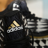 adidas 阿迪达斯 Crazy Light Boost 男款运动鞋 D73978