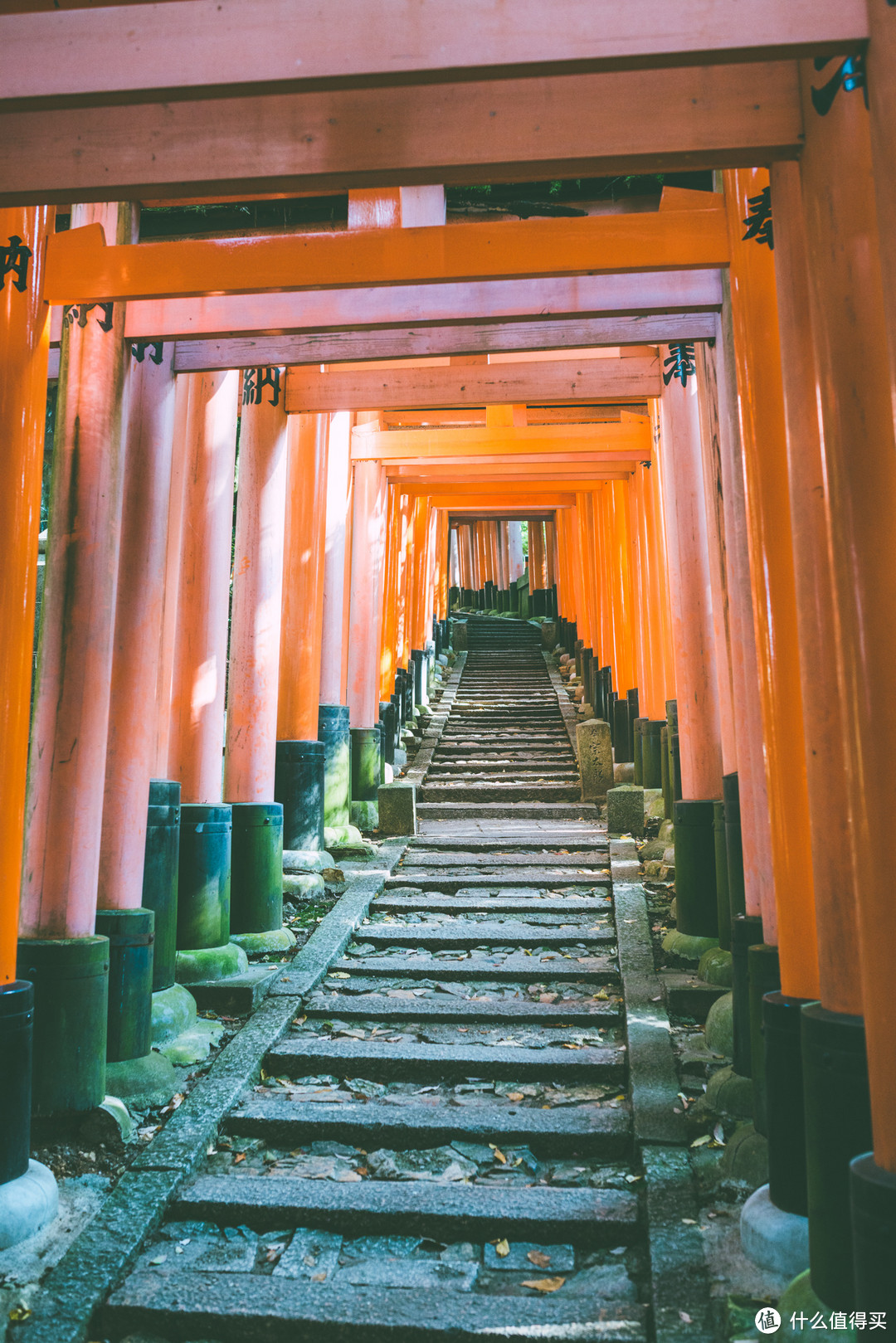 霓虹追忆 — 江之岛、箱根、京都红叶狩