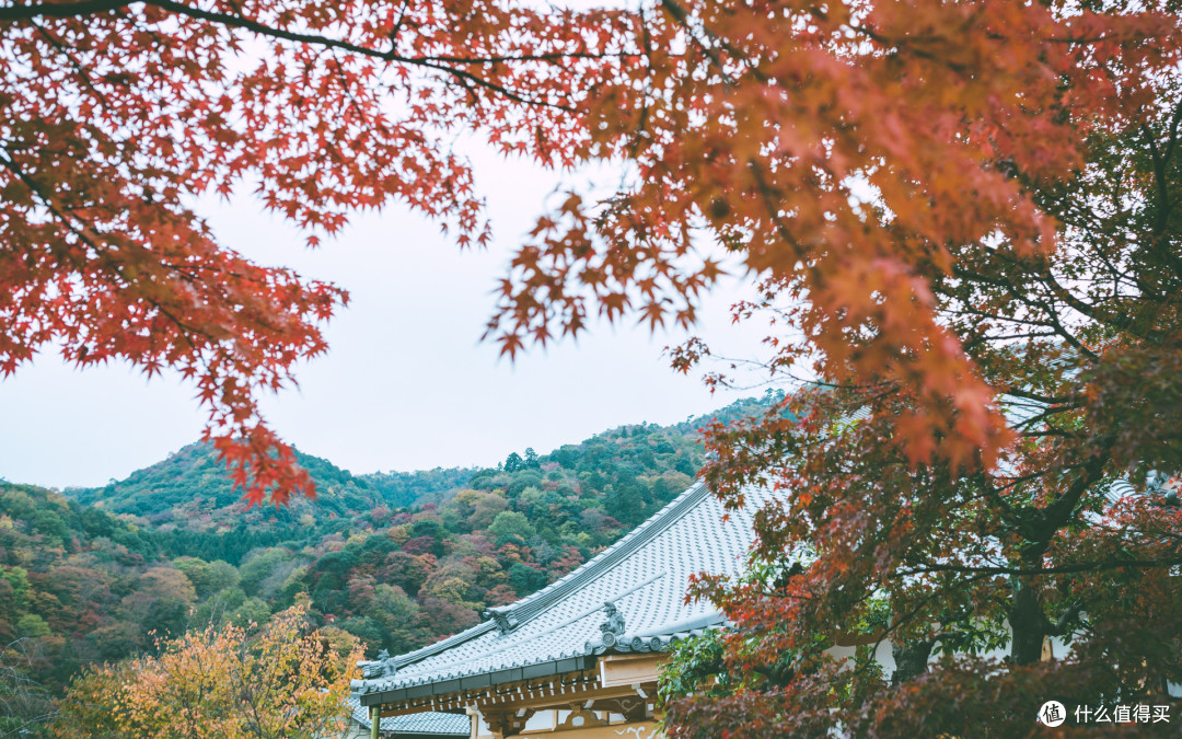 霓虹追忆 — 江之岛、箱根、京都红叶狩