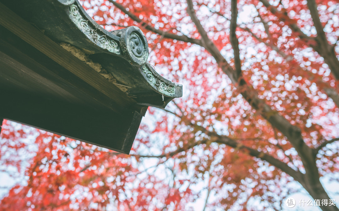 霓虹追忆 — 江之岛、箱根、京都红叶狩