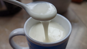 QLT 科立泰 QLT-1255 酸奶机自制酸奶过程及使用感受分享