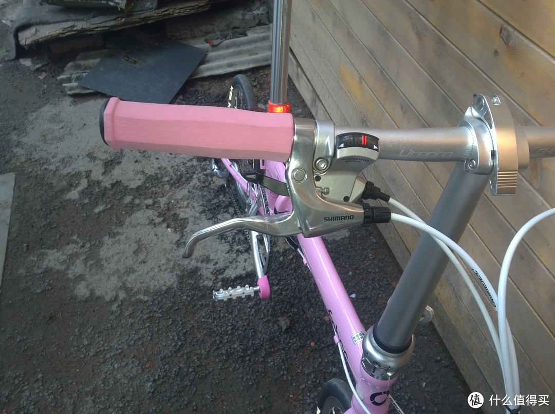 想和你一起吹吹风：fnhon 风行 Ka1609 折叠自行车