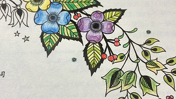 《秘密的花园》手绘涂色书使用