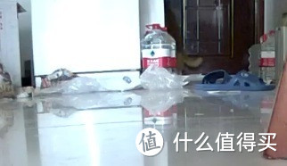 这是一个忧伤的故事, 用 福斯康姆福视宝婴儿看护仪 测试监控我家猫爷