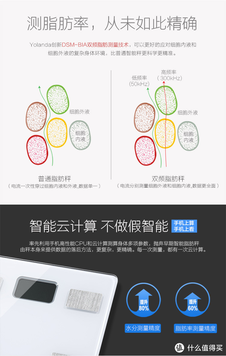 胖子的救赎物？Yolanda云康宝 CS20F 体脂秤