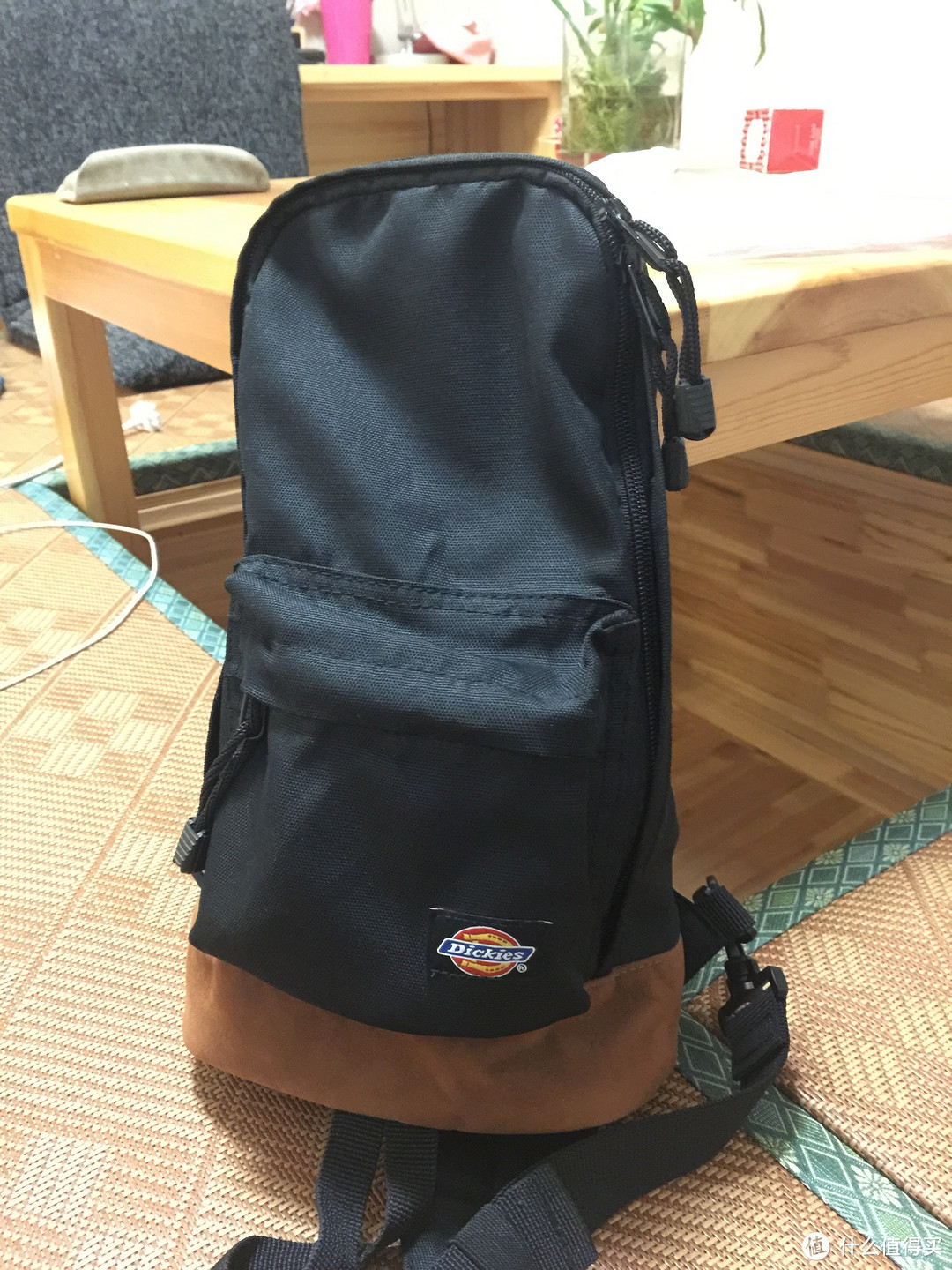 dickies 帝客 男款斜跨单肩包 133U91WD10