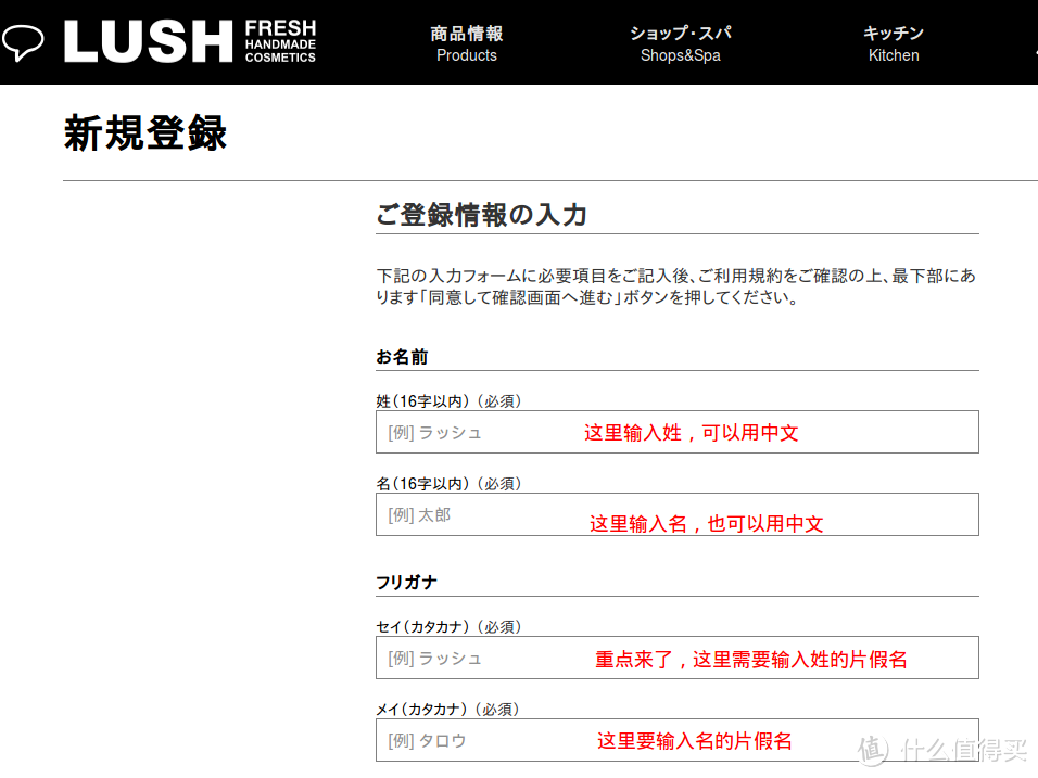 好用不贵 日本官网入手lush 洗发皂 附简单教程 洗发产品 什么值得买