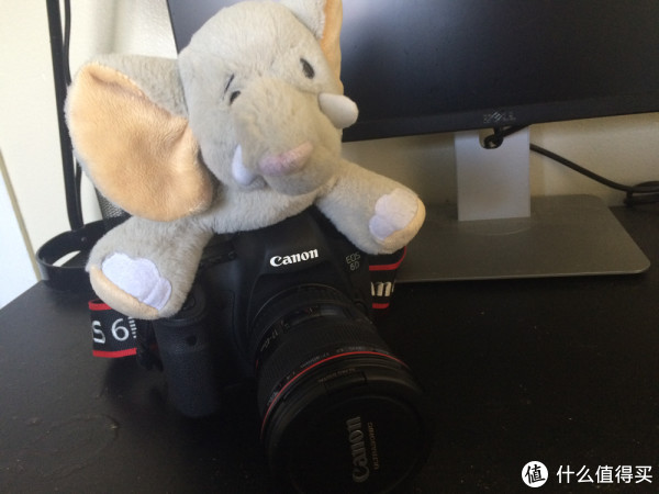 Canon 佳能 EOS 6D，兼评红圈狗头17-40L