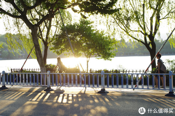 Canon 佳能 EOS 6D，兼评红圈狗头17-40L