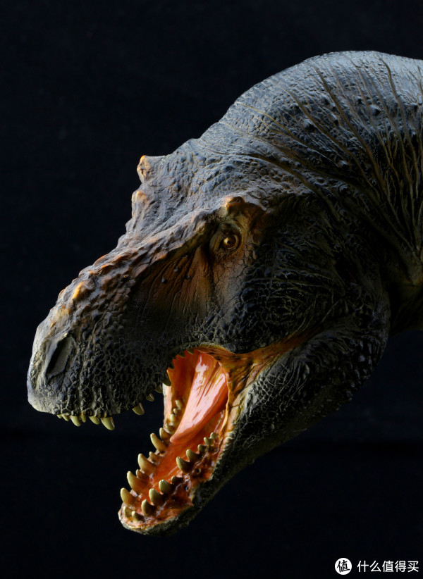 跟电影来凑热闹:sideshow 200209 霸王龙 开箱