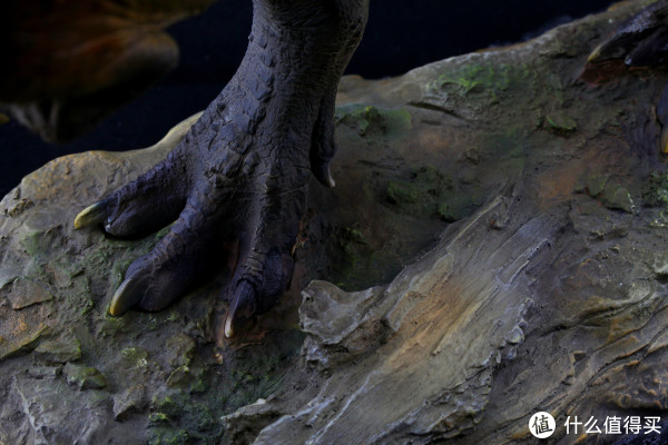 跟电影来凑热闹:sideshow 200209 霸王龙 开箱