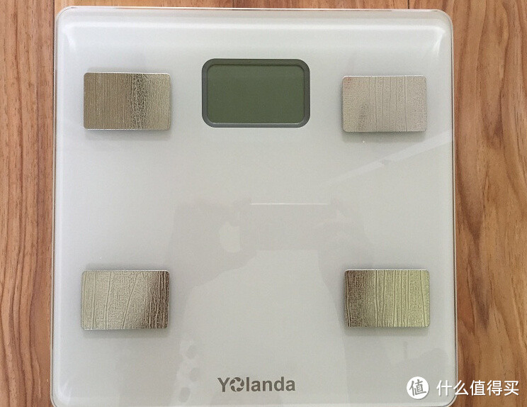 带你了解自己身体的秘密——Yolanda云康宝 CS20F 体脂秤使用评测