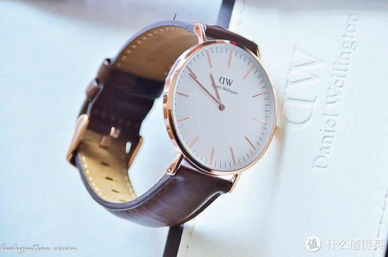 DANIELWELLINGTON 男士石英手表 0209DW