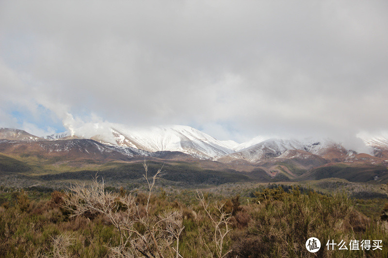 南十字星下的毕业旅行：100% Pure New Zealand 新西兰自驾游攻略（北岛篇）