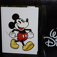 我的几本影视书 篇一：迪士尼的艺术 — 从米老鼠到魔幻王国