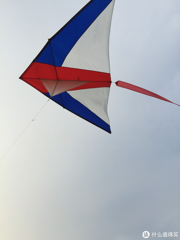 品牌是王侉子,是这几只风筝里面做工品质都比较好的了