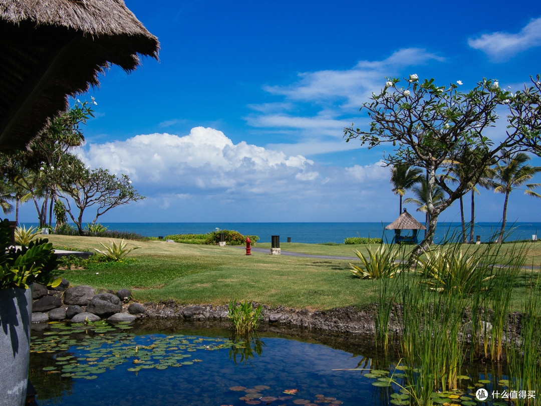 Summer Break in Bali:巴厘岛旅行游记
