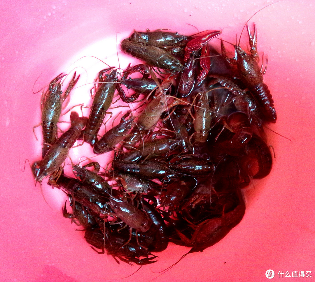 醉美小龙虾 十三香小龙虾出锅记 虾类 什么值得买