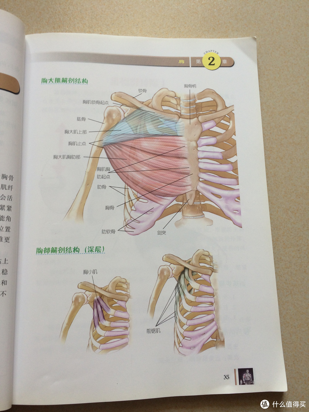 晒一下我最近购买的三本关于健身的书