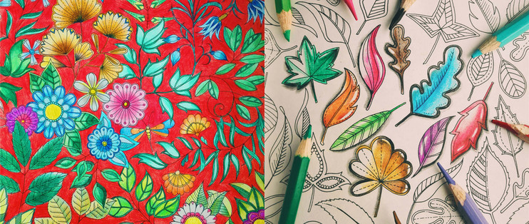 秘密花园 涂色书的教程 秘密花园怎么涂 什么值得买