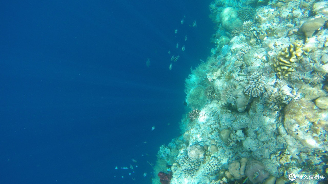 最美海岛 Palau 帕劳 梦幻之旅