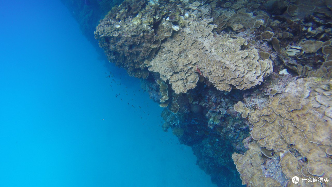 最美海岛 Palau 帕劳 梦幻之旅