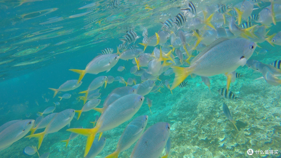 最美海岛 Palau 帕劳 梦幻之旅