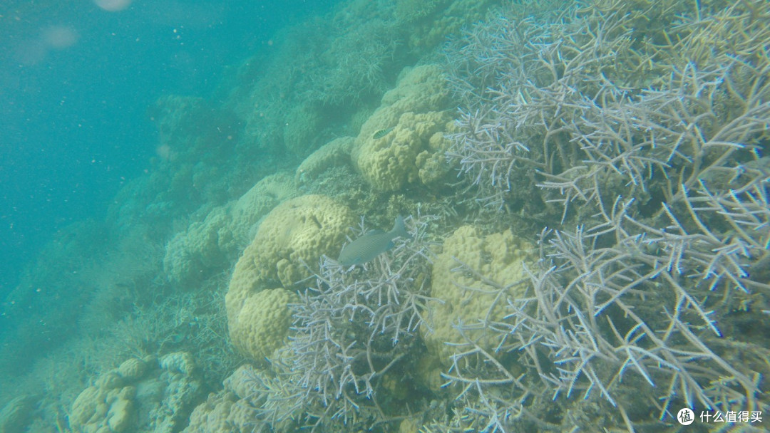 最美海岛 Palau 帕劳 梦幻之旅