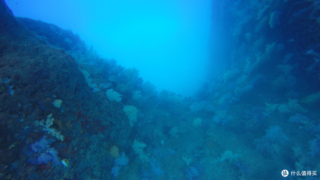最美海岛 Palau 帕劳 梦幻之旅