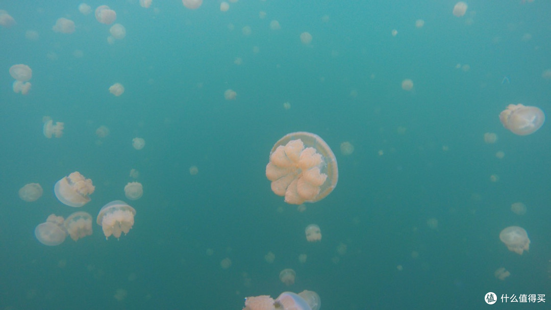 最美海岛 Palau 帕劳 梦幻之旅