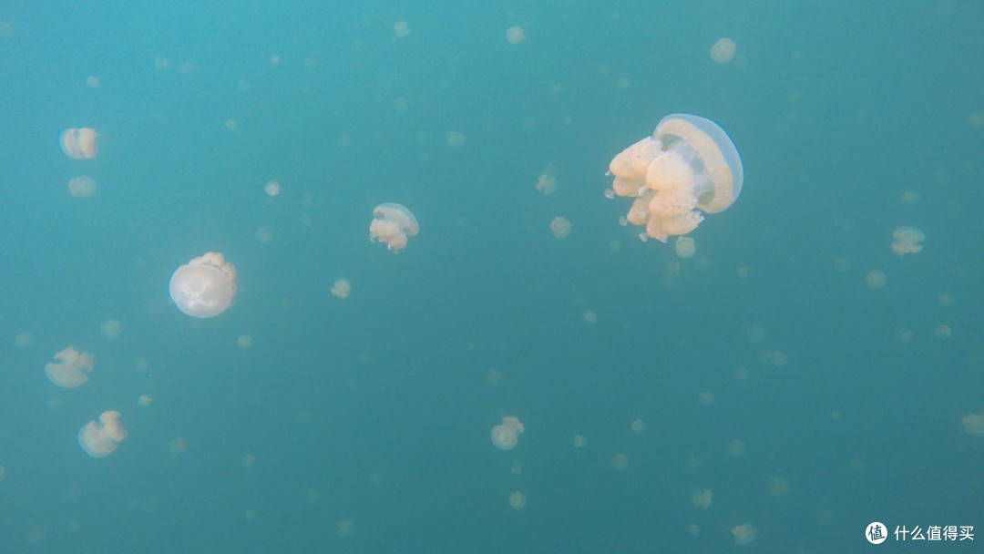 最美海岛 Palau 帕劳 梦幻之旅