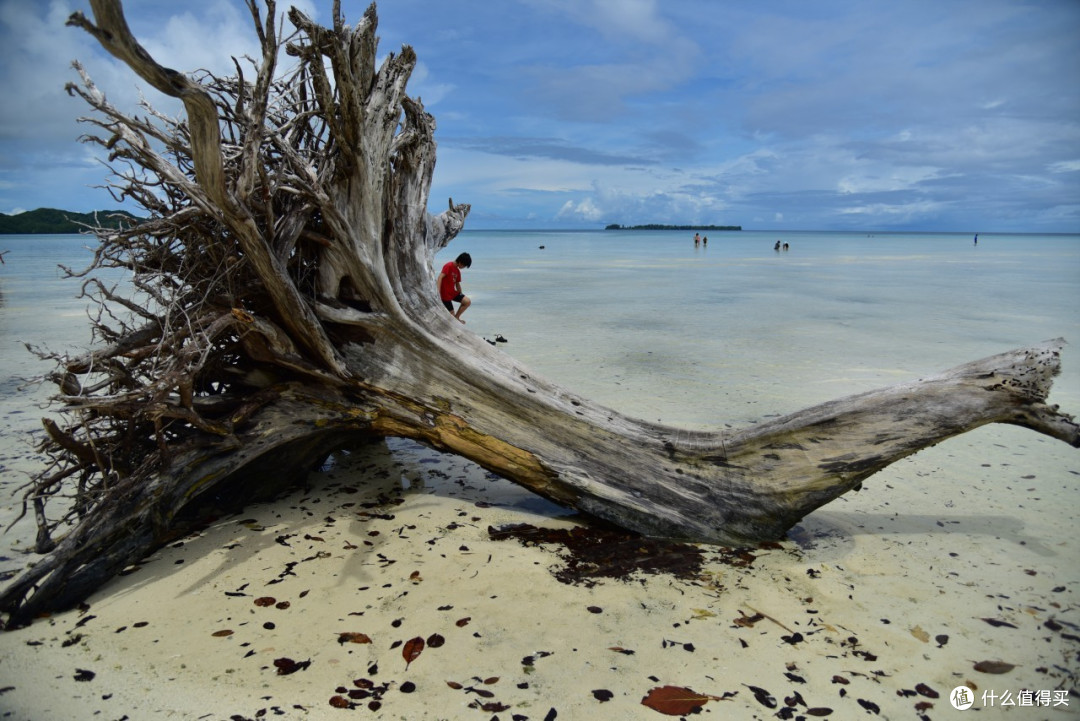 最美海岛 Palau 帕劳 梦幻之旅