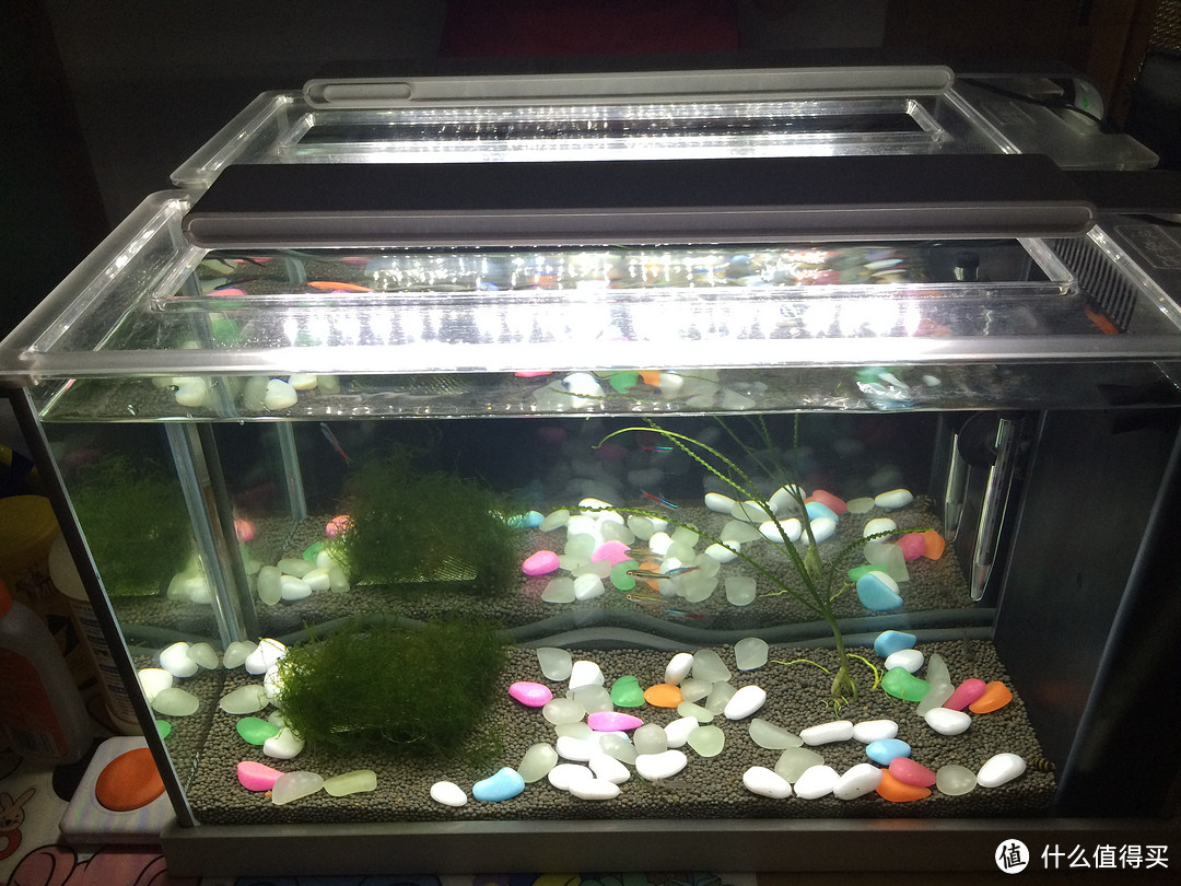 allocacoc 阿乐乐可 模方遥控插座套装的评测?开箱?