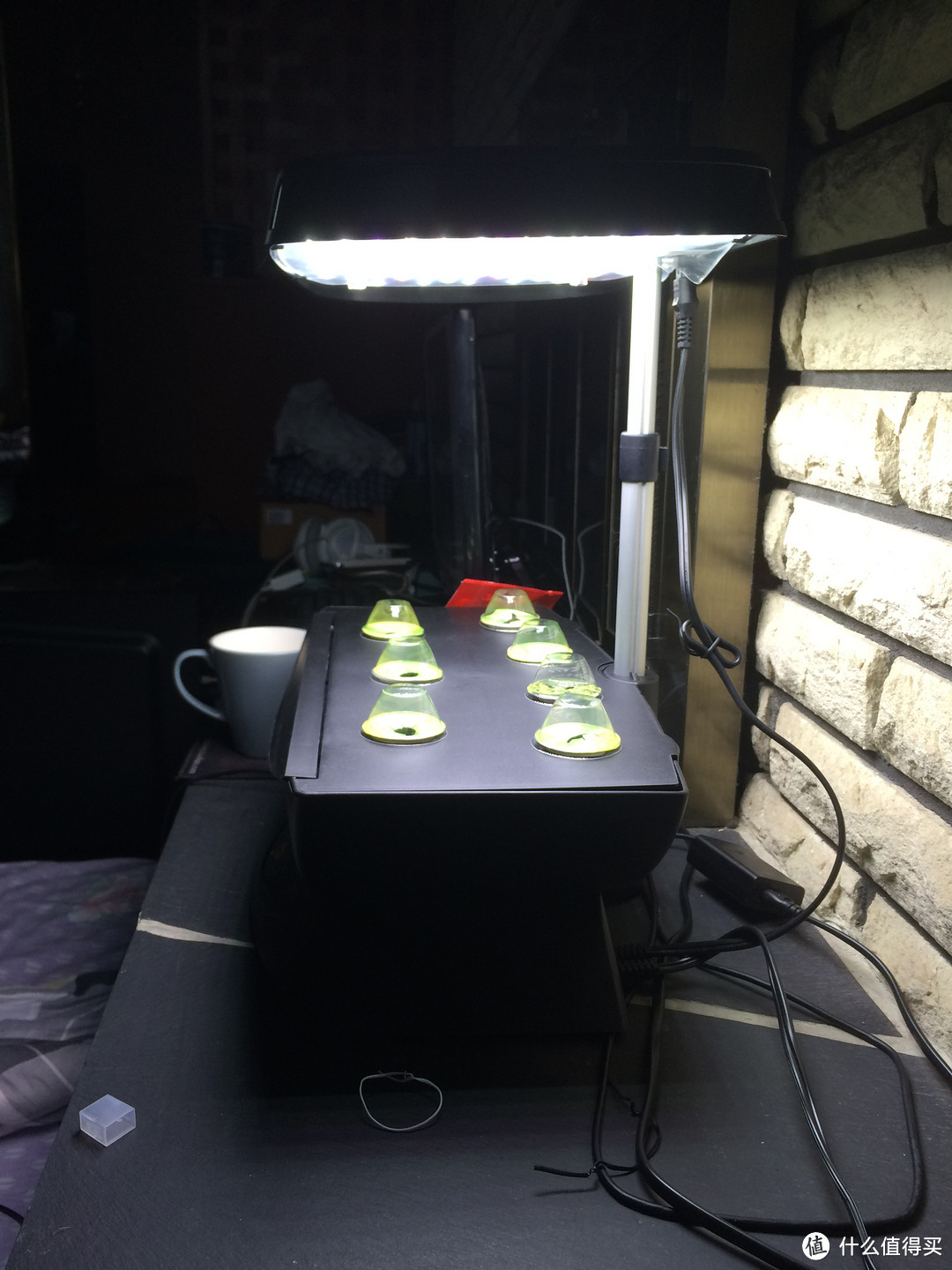 AeroGarden 7-Pod LED Indoor Garden 室内花园 种植小记