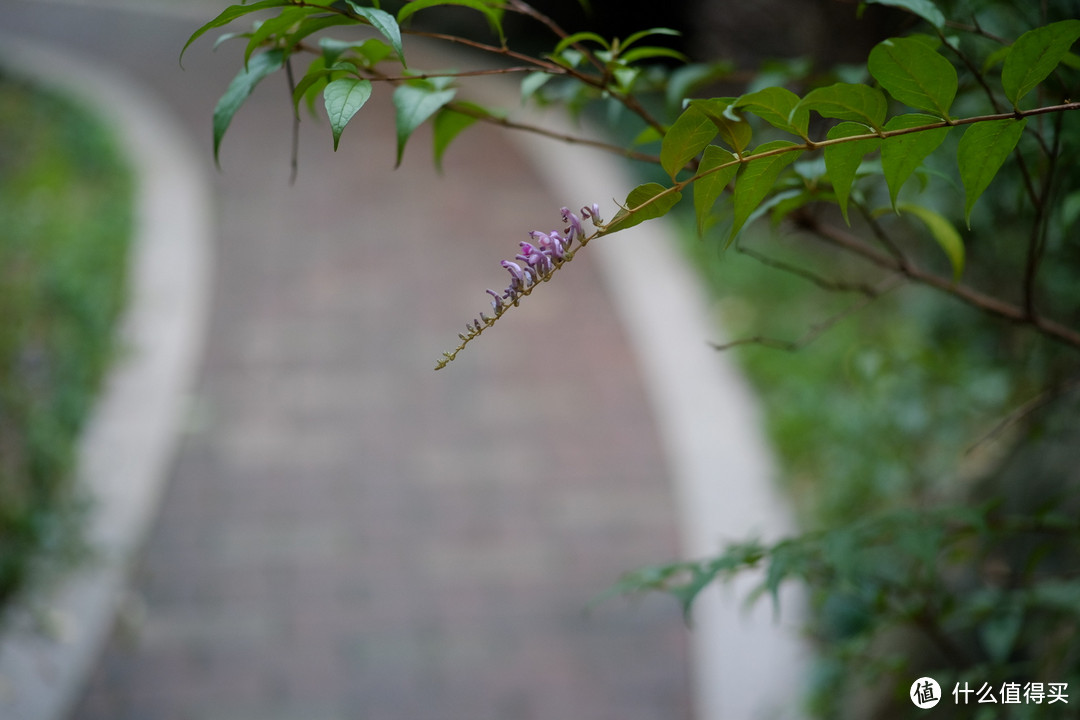 转接 Canon 佳能 EF50mm F1.8 镜头