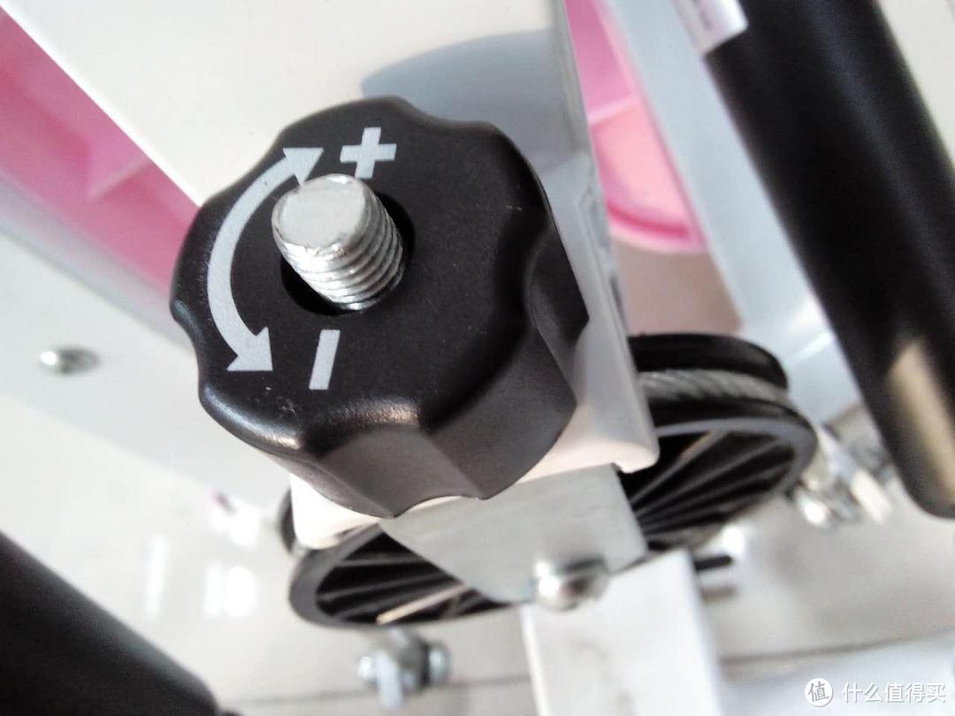 我的内心是激动的：美国SUNNY HEALTH&FITNESS  粉色扭腰踏步机P8000