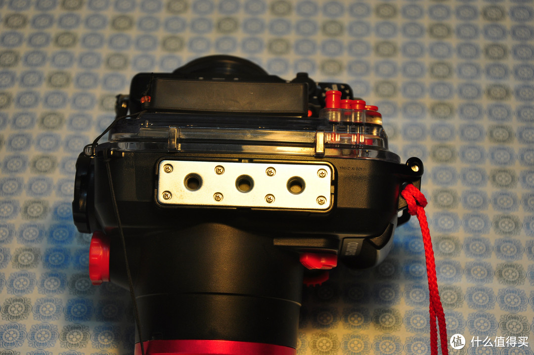 我的水下摄影器材：奥林巴斯 XZ-2 & 原厂潜水壳，附样片及视频赏析