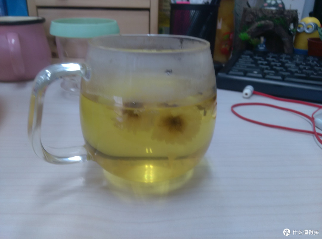 现代养生煲全面测评
