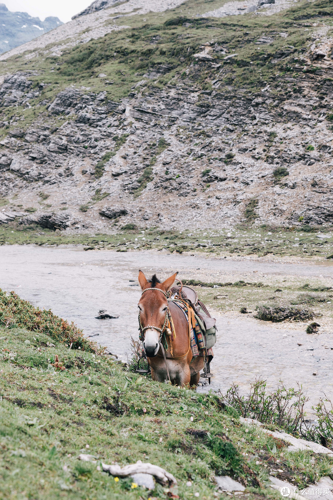 说走就走的旅程：稻城亚丁自驾浅行记