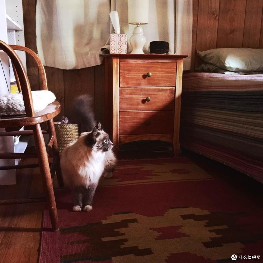 Airbnb 环美全体验