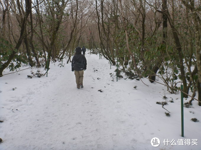 汉拿雪山惊魂之旅：记一次特别的济州岛自由行