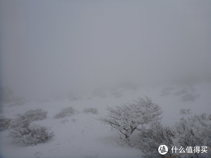 汉拿雪山惊魂之旅：记一次特别的济州岛自由行