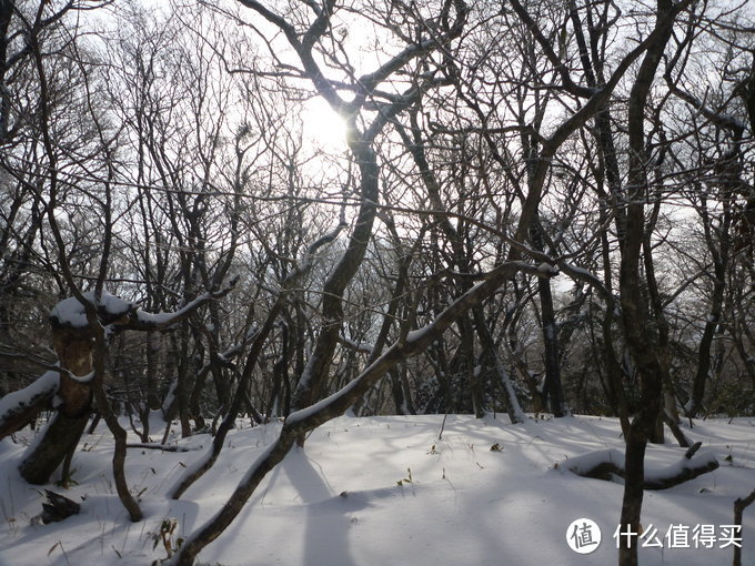 汉拿雪山惊魂之旅：记一次特别的济州岛自由行