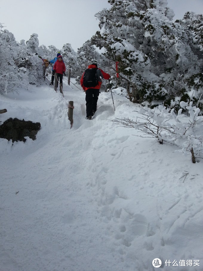 汉拿雪山惊魂之旅：记一次特别的济州岛自由行